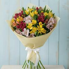 Букет цветов из:  Альстромерии в Верхнее Мячково